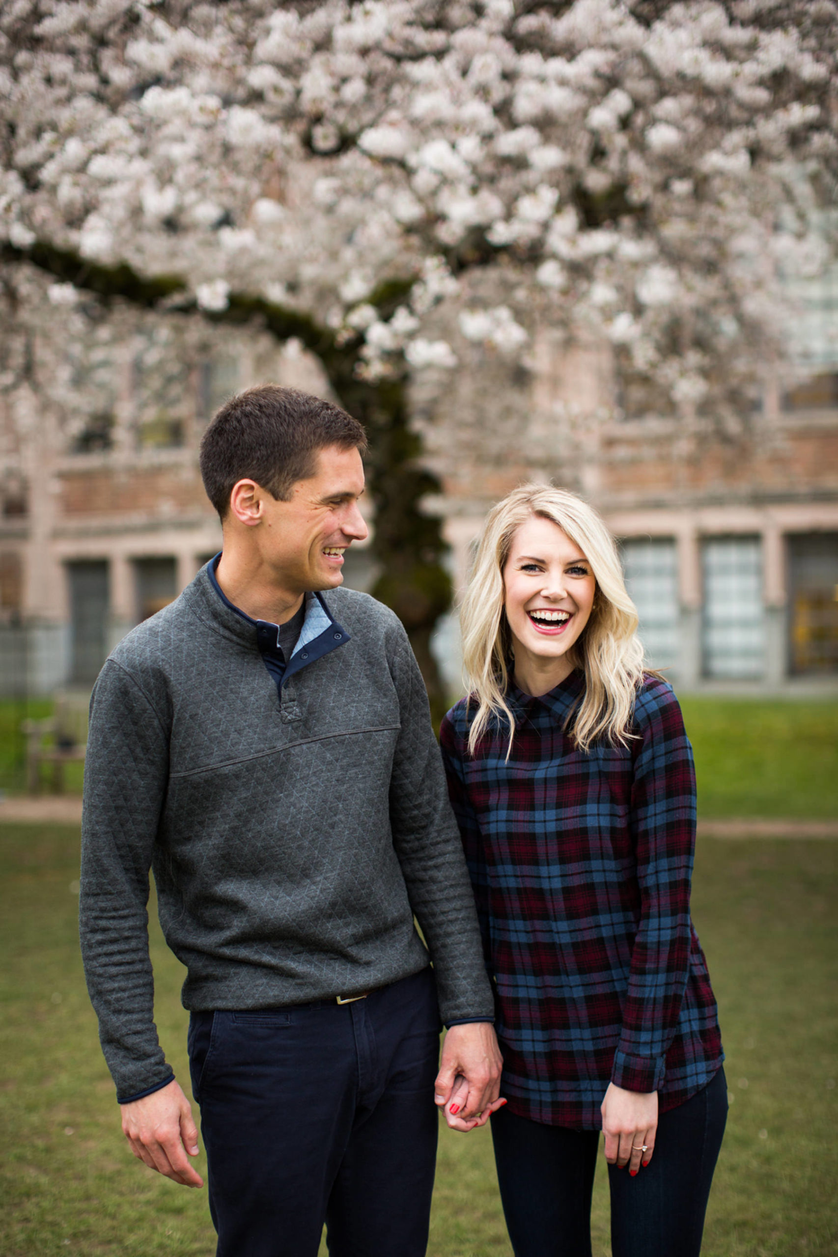 University Of Washington Cherry Blossom Photos